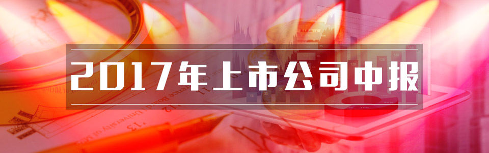 2017年上市公司中报