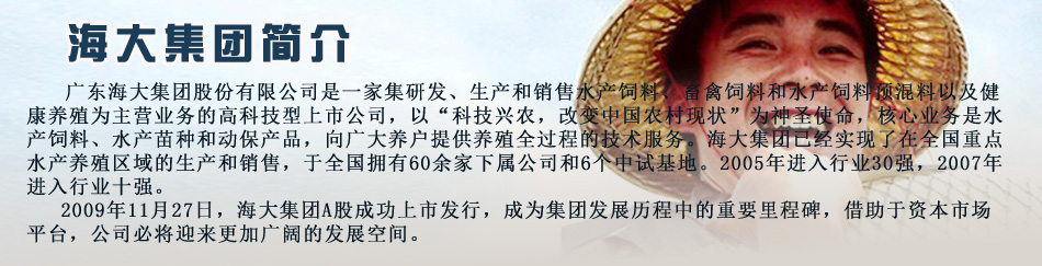 海大集团底部banner.jpg
