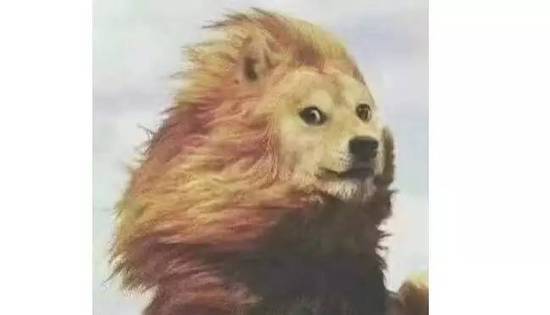 北京人南下深圳买房像扫货:一个楼盘拿下一整层