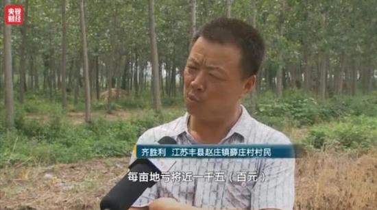 洋葱价格暴跌:1毛1斤仍无人问津 经纪人血本无归