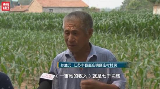 洋葱价格暴跌:1毛1斤仍无人问津 经纪人血本无归