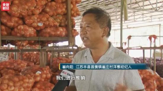 洋葱价格暴跌:1毛1斤仍无人问津 经纪人血本无归
