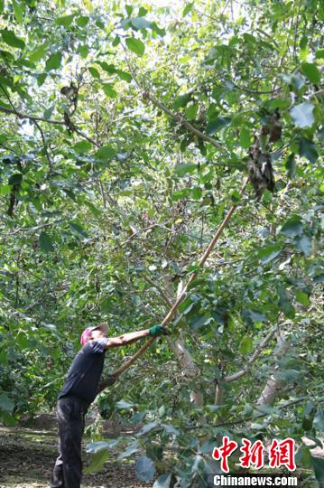 �½����ޡ�ֽƤ���ҡ�����ũ���ա��ƽ����