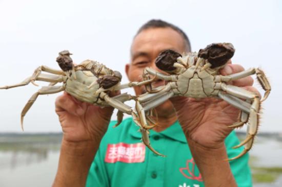 ���ﾩ����Χ�Դ�բз зũ:���ǲ�����Ҫ������