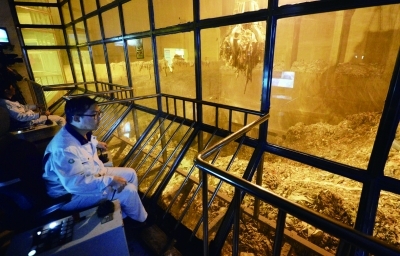 �����׸�����������������׽����մ���1800��