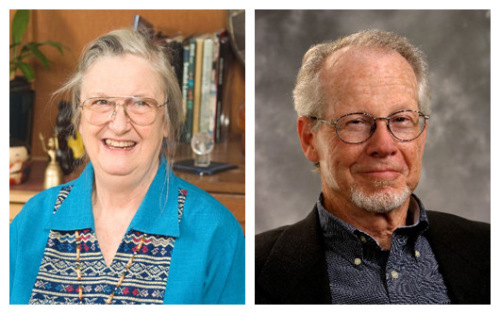 ����ŵ����˹����ķ�Ͱ�����������ɭ