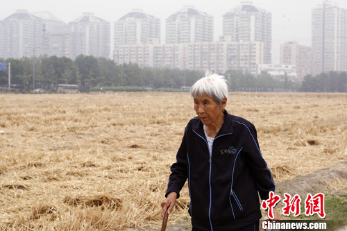 6��22�գ�һλ�����߹������������������ϵ�һ��ũ��������������������У����ﱻ������Ϸ�ʳ�Ϊ����ţũ��������緢�ź���