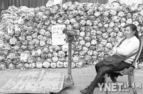 ����Ѷ����������ˬͨѶԱ�����ݣ��������ѩ����Ϊ�����߲˵Ĳ�ժ���չ���������ϰ������²���Ҷ�˼۸����ǡ�