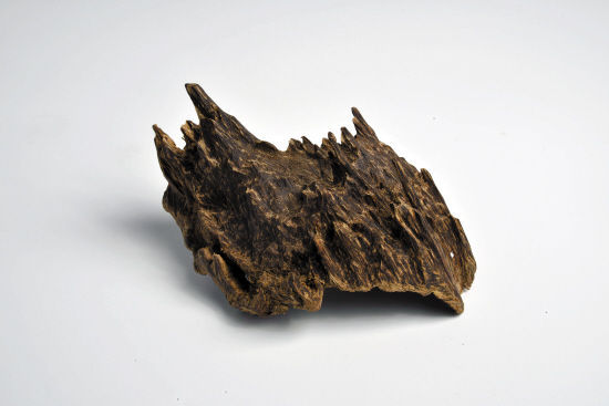 ���ϳ���