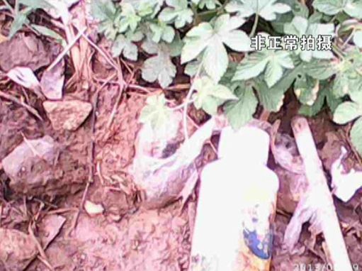 �����߲�԰���ﵽ��������ũҩ���