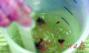 ���Ƚ����ٷ���ˮ�Ͷ�ͯ����ϡ�