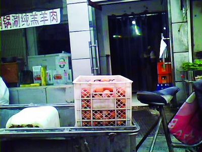 ���͹� ��/��������������