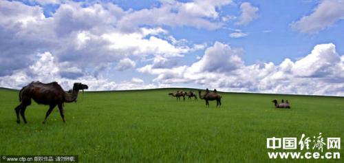 ����Ӫ����ֹ�����ְ�ȥ�Ķ��������6��Ҫ��1.2��