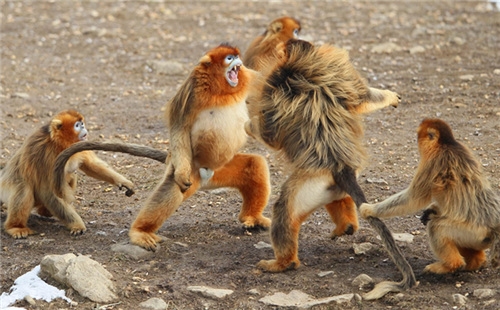 ����һ��ʱ�䣬�����������췴���ѡ��Ϳɡ������˺����ı��������Ϳɡ����ֱ�Ҳ�����κ�����Ϊ���С����ܿ죬���κ���ͬ�������š��Ϳɡ�������