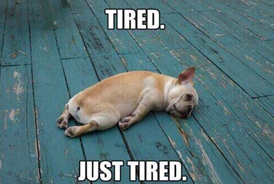 工资8千到手不足5千,算完五险一金老板和我都哭了