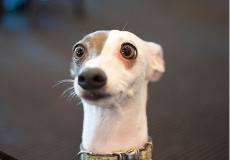 怪不得,总理都在今天的两会上也承认五险一金比例确实过高,可适当下调,让企业减轻一点负担,群众多拿一点现金。