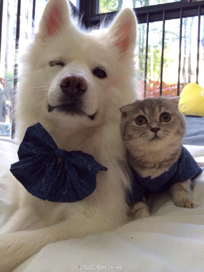 ������ǧ��Ԫ ��������������׬Ǯ��