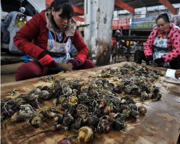 �ơ����֣���Щ������̳�ġ�������