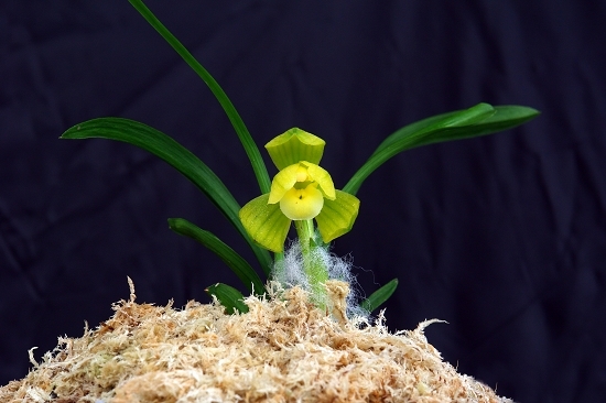 �ơ����֣���Щ������̳�ġ�������