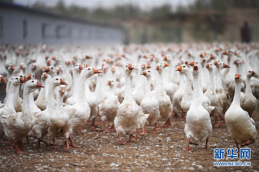 �����ã���4���½�������ҵ����ƶ