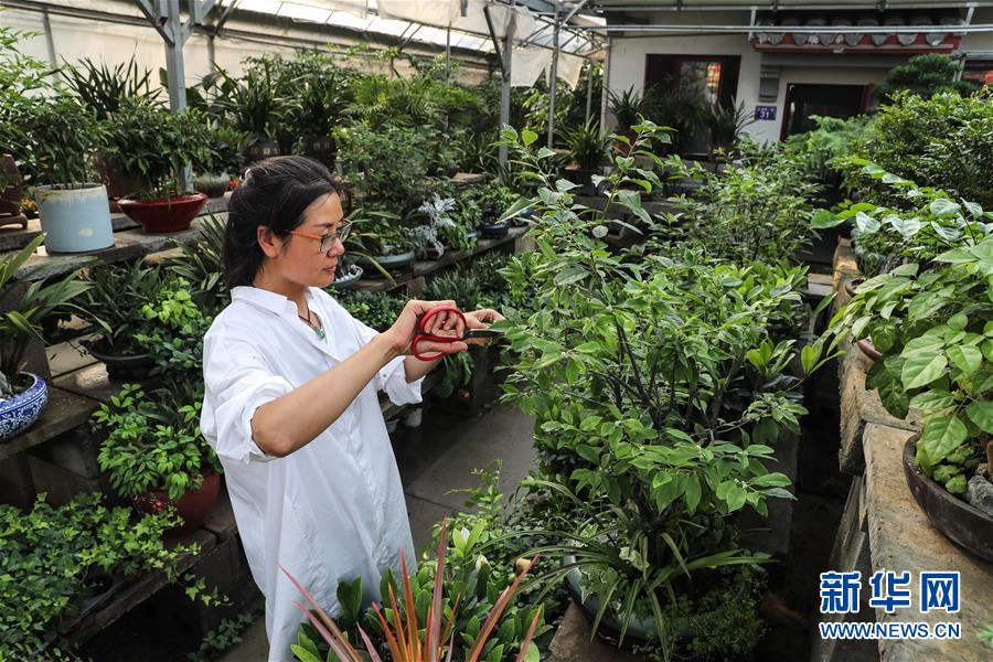 (走向我们的小康生活·图文互动)(5)水清岸美产业兴——江苏南通小康路上的绿色实践