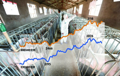 盈亏线下 养殖企业难打翻身仗.jpg