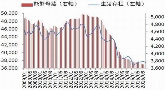 �����걨�������������