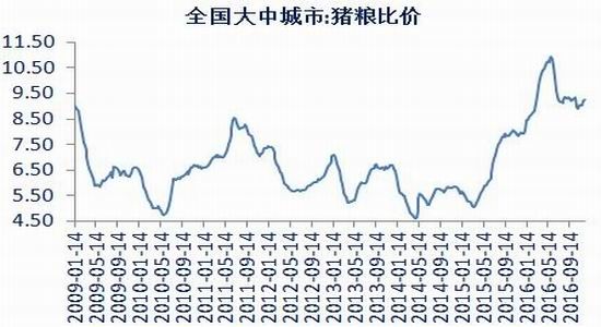 �����걨�������������