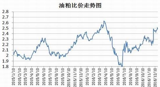 �����걨�������������