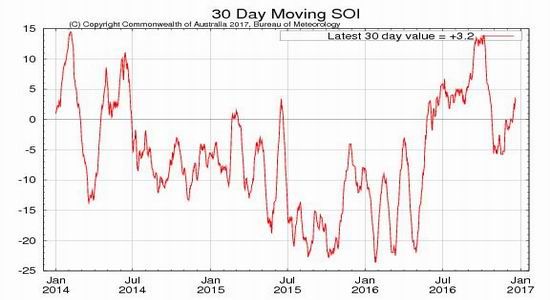 �����걨�������������