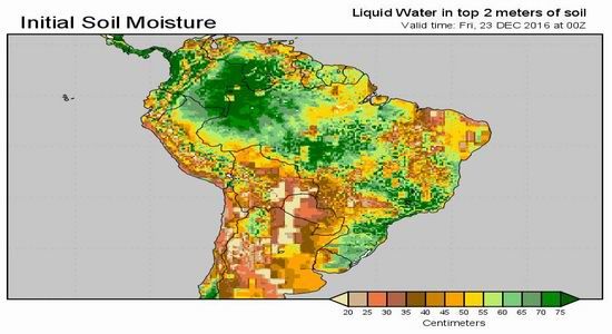 �����걨�������������