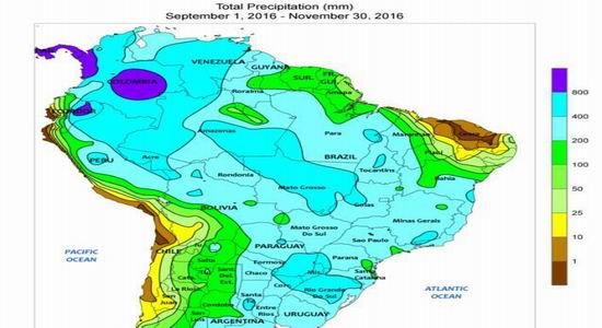 �����걨�������������