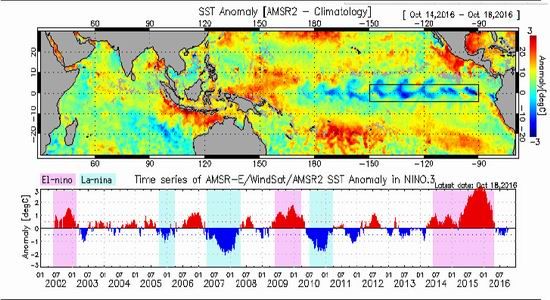 �����ڻ�����֬��������