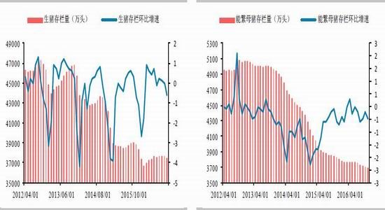 ��̩�걨��������Ȼ�Ӵ�