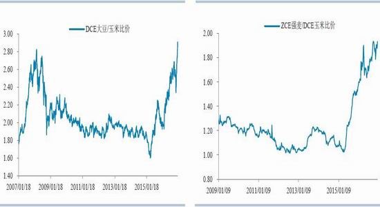 华泰年报：玉米前低后高