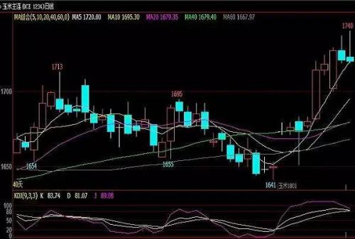 为何国内外玉米价格走势两重天?