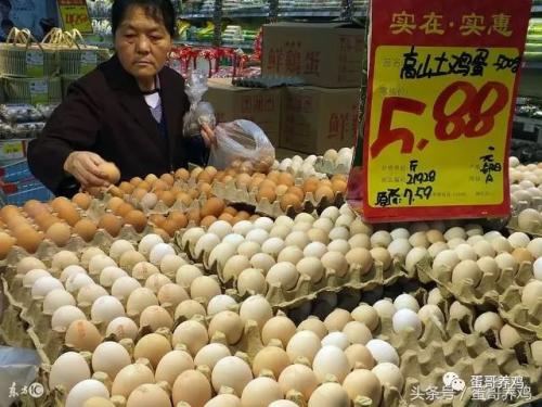 鸡蛋价格重归跌势 中秋节前蛋价能到几块?