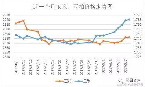 鸡蛋价格重归跌势 中秋节前蛋价能到几块?