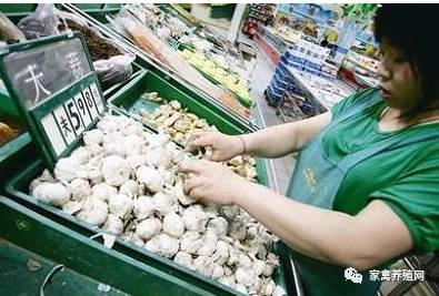 鸡蛋价格重归跌势 中秋节前蛋价能到几块?