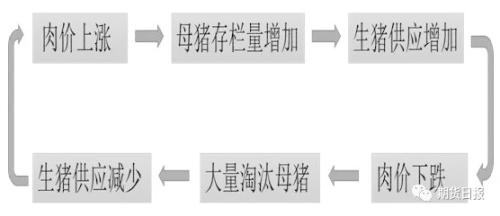 �������ڡ��������ڻ�