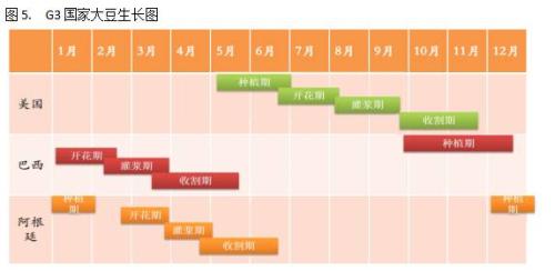 ���ڴ󶹣���˵�������ͳ�������˵û�¾�û��