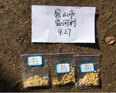 ����ֲ������� �����ܲ����½�